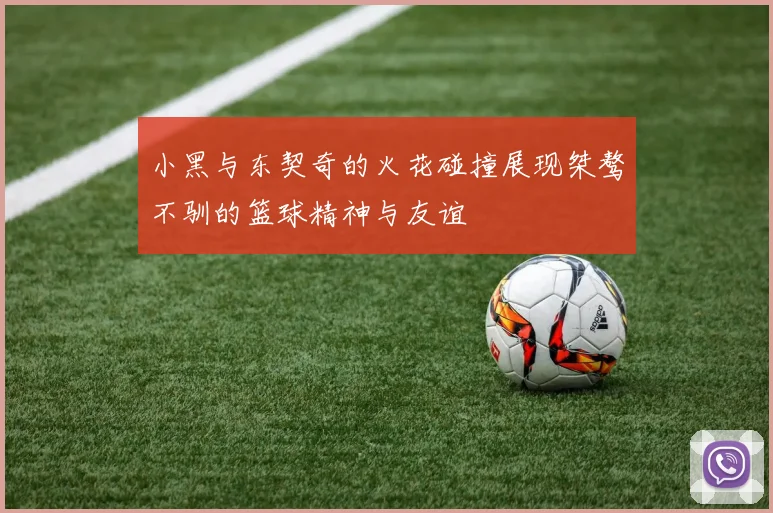 小黑与东契奇的火花碰撞展现桀骜不驯的篮球精神与友谊
