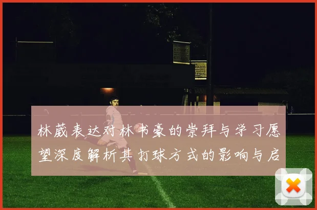 林葳表达对林书豪的崇拜与学习愿望深度解析其打球方式的影响与启发